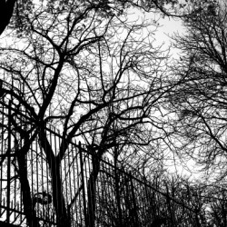 Pere Lachaise